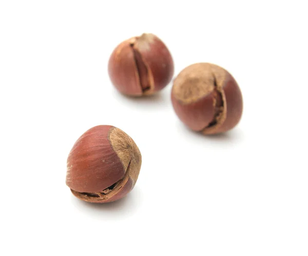 Lískové ořechy na bílém pozadí — Stock fotografie
