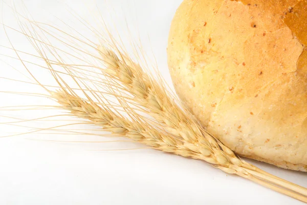 Brot und Weizen auf weißem Hintergrund — Stockfoto