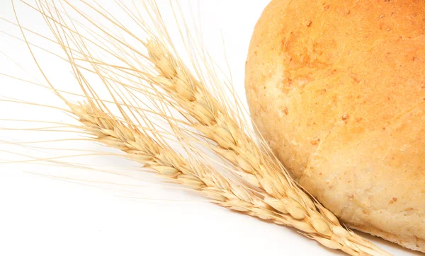 Пшеница и хлеб на белом фоне — стоковое фото