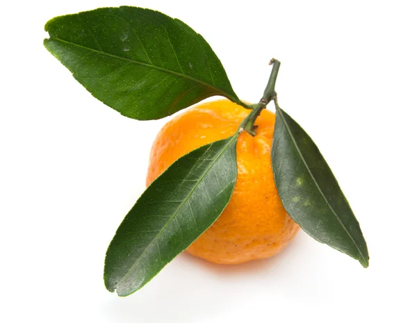 Mandarina sobre fondo blanco —  Fotos de Stock