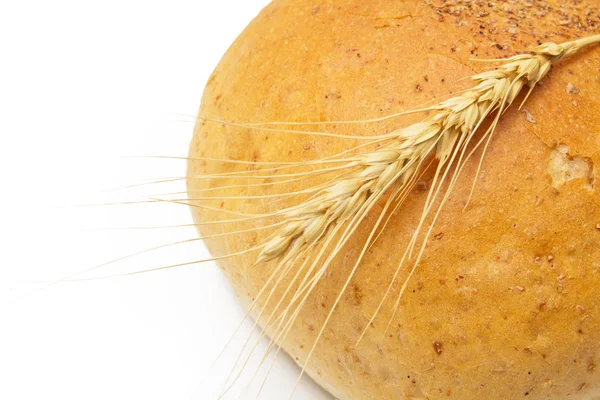 Beyaz arka planda buğday ve ekmek — Stok fotoğraf