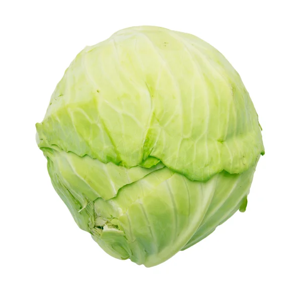 Single green cabbage with dew. Close-up. Isolated on white backg — Stock Photo, Image