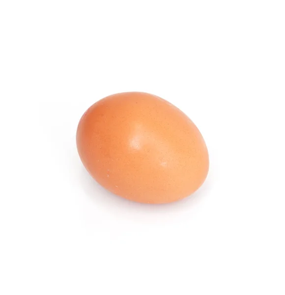 Un uovo su sfondo bianco — Foto Stock