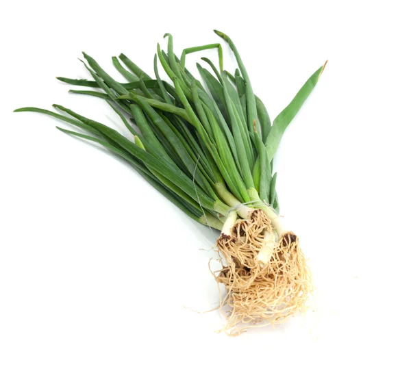 Grüne Zwiebeln, Foto auf weißem Hintergrund — Stockfoto
