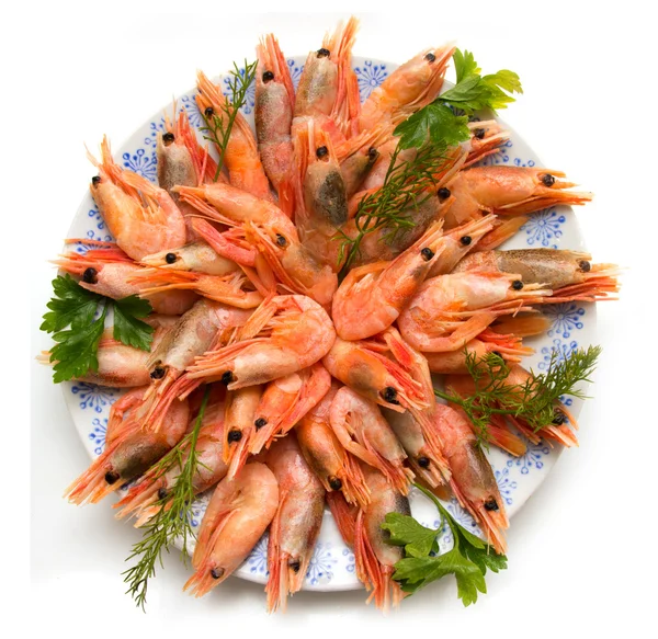与上一盘香菜虾 — 图库照片
