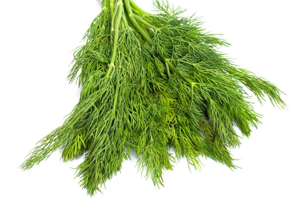 Bunch of ripe green dill isolated on white — Stock Photo, Image