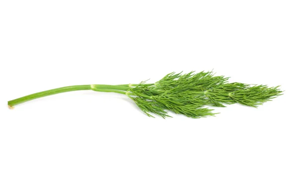 Green dill isolated on white — Stock Photo, Image
