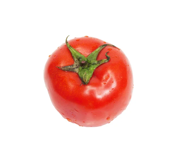 Verse tomaat geïsoleerd op wit — Stockfoto