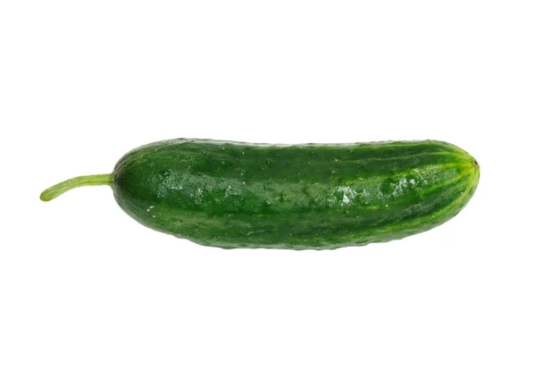 Verse groene komkommer op een witte achtergrond — Stockfoto