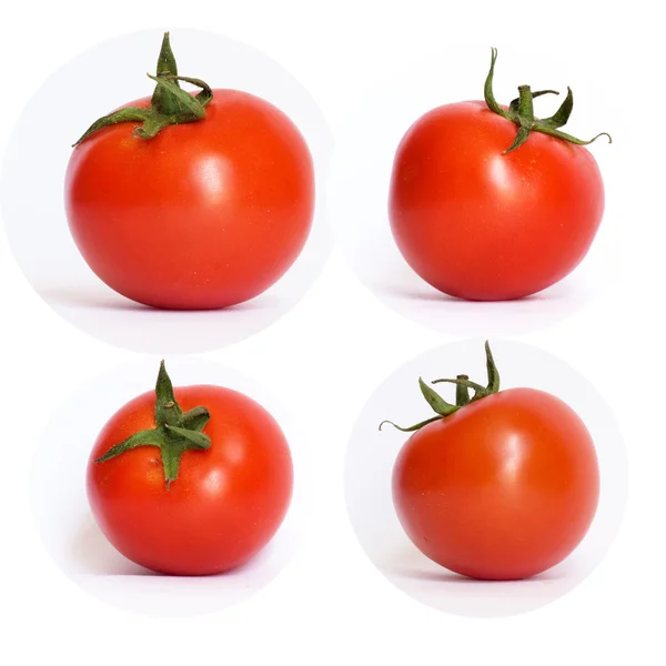 stock image Red tomato on white background