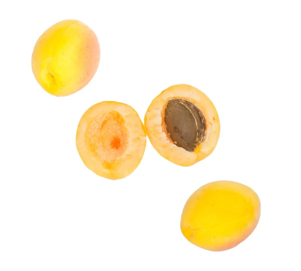 Apricot on white background — Stock Photo, Image