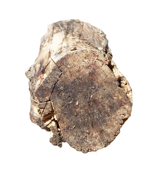 Wooden log isolated on white background — Stock Photo, Image