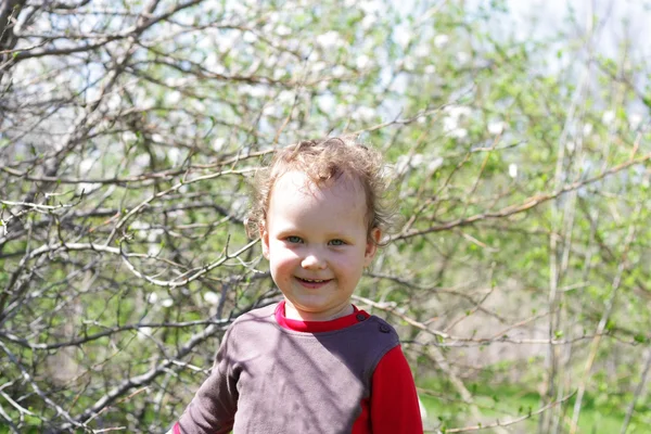 Sorrindo menino em um fundo verde — Fotografia de Stock