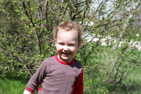 Usměvavý chlapec na zeleném pozadí — Stock fotografie