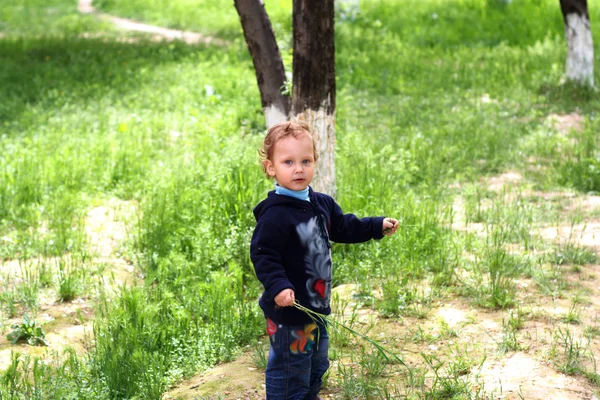 Кудрявый мальчик в парке — стоковое фото