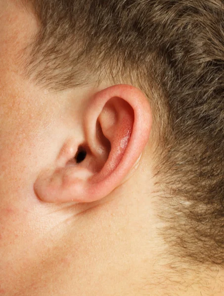 Крупный план человеческого уха — стоковое фото