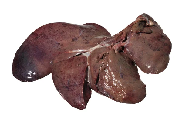 Hígado de carne cruda aislado sobre fondo blanco — Foto de Stock