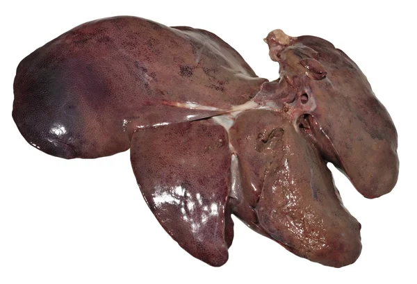 Hígado de cerdo —  Fotos de Stock