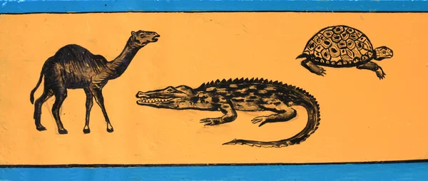Zeichnung eines Kamels, Krokodils, Schildkröte — Stockfoto