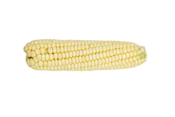 Kukurydza odizolowana na białym tle — Zdjęcie stockowe