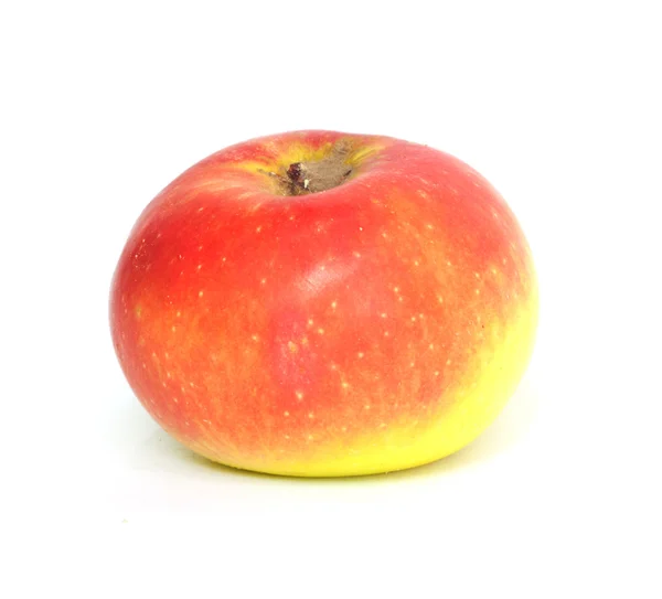 Czerwony z żółtym jabłko — Zdjęcie stockowe