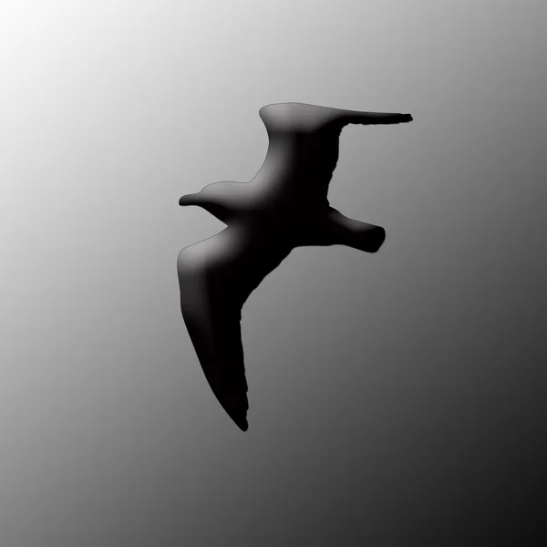 Silhueta da gaivota do mar — Fotografia de Stock