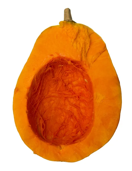 Half of butternut pumpkin isolated on white — Stock Photo, Image