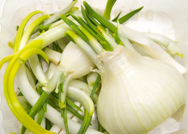 Green onions in the background — Stock Photo, Image