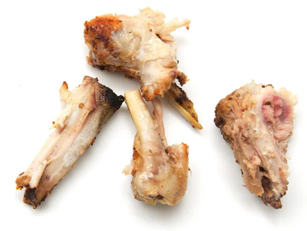 Грызущие кости курицы — стоковое фото