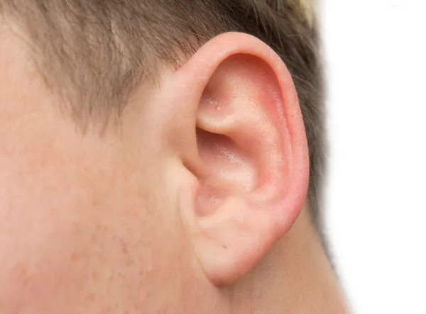 Крупный план человеческого уха — стоковое фото