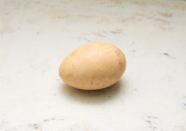 Яйцо, загрязненное птичьим навозом, является причиной сальмонеллеза — стоковое фото