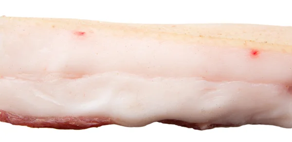 Bacon på en vit bakgrund — Stockfoto