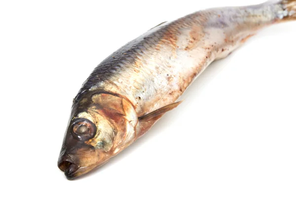 Beyaz zemin üzerinde baharatlı tuzlu ringa balığı — Stok fotoğraf