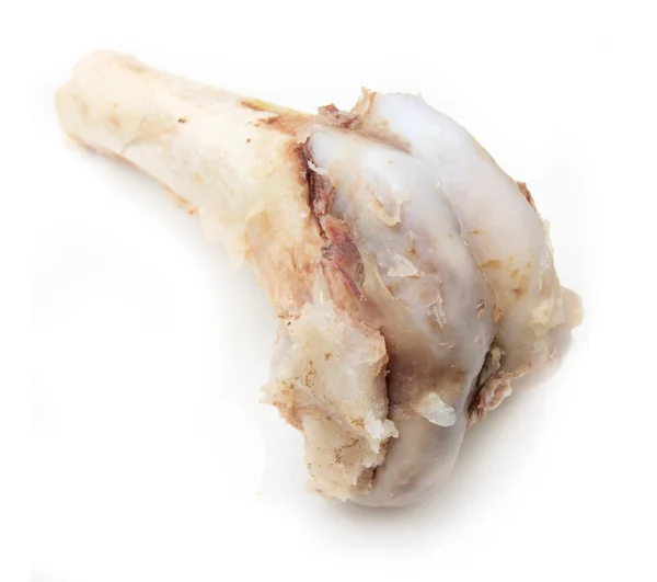 Beyaz bir arka plan üzerinde kemik — Stok fotoğraf
