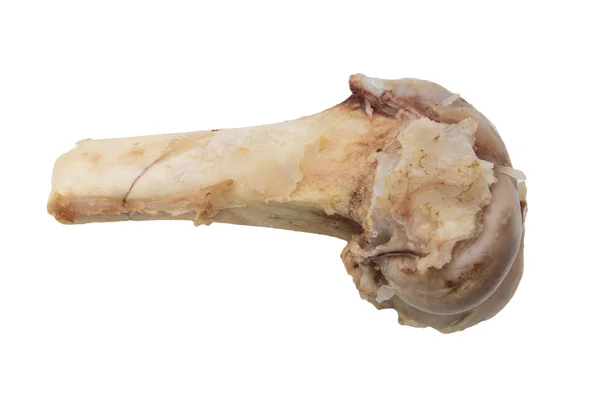 Kości na białym tle — Zdjęcie stockowe