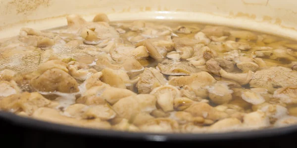 Mushrooms cook in a pan — Stock Photo, Image