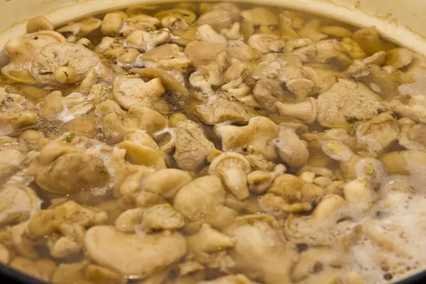 Mushrooms cook in a pan — Stock Photo, Image