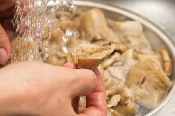 Pilze werden vom Wasser ausgewaschen — Stockfoto