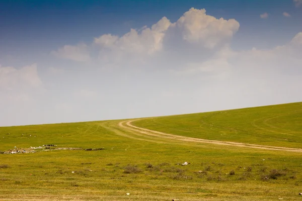 Groen veld met een weg — Stockfoto