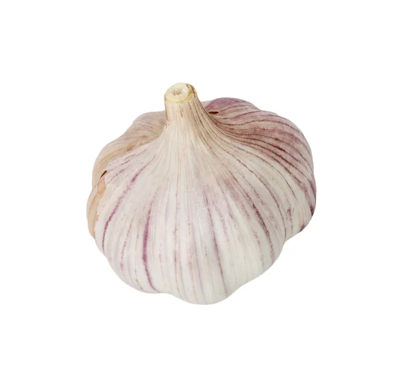 Fresh garlic on a white background — Stock Photo, Image