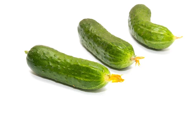 Verse komkommers op een witte achtergrond — Stockfoto