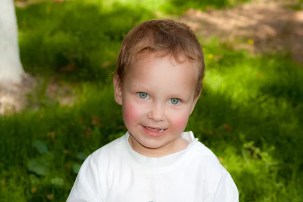 Портрет маленького мальчика в природе — стоковое фото