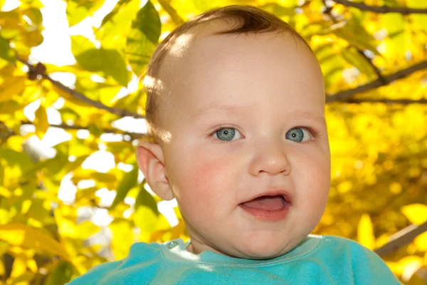 Portrait of a baby on the background of the fall — Stock Photo, Image