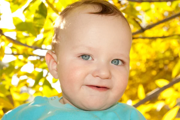秋の背景の上に赤ちゃんの肖像画 — ストック写真