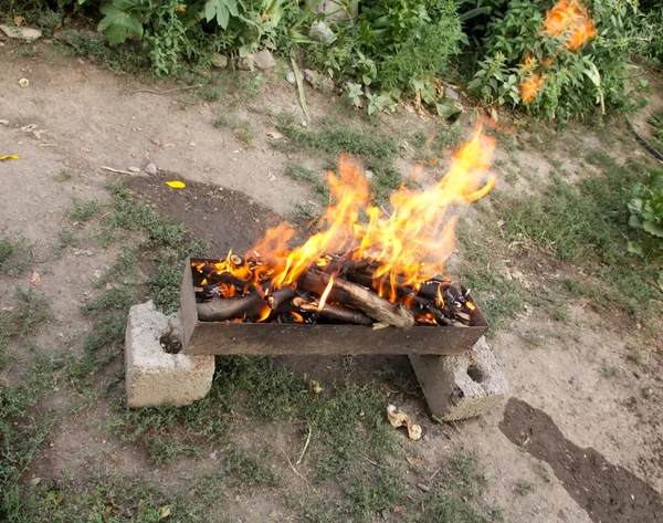 Вогонь у мангалі на фоні зеленого лісу — стокове фото