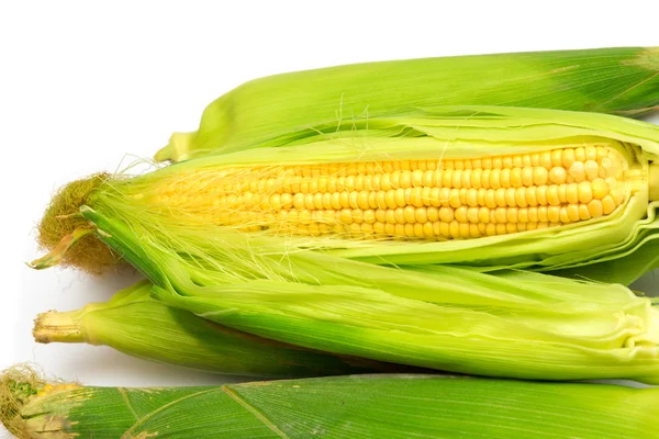Mais auf weißem Hintergrund — Stockfoto