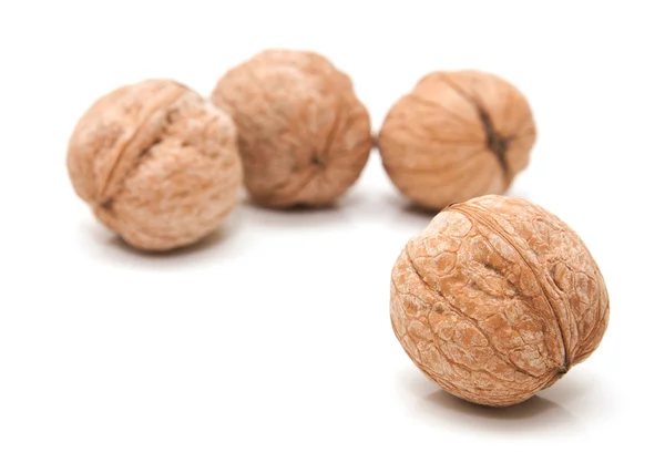 stock image Walnut on a white background