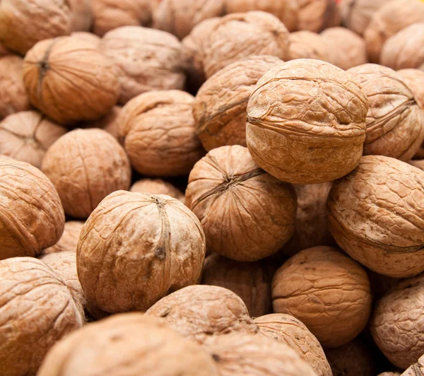 Walnut as a background — Stock Photo, Image