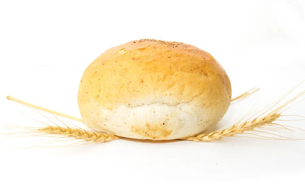 Pane e grano su fondo bianco — Foto Stock