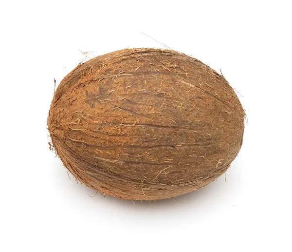 Kokosnöt på vit bakgrund — Stockfoto